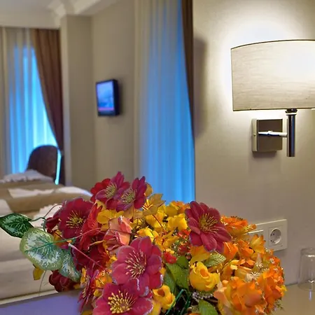 Hotel Laleli Emin Old