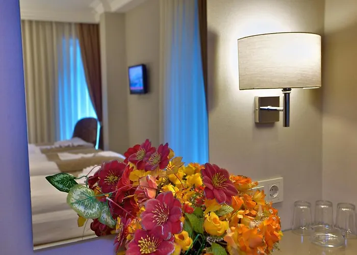 Hotel Laleli Emin Old